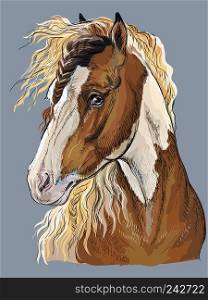 Colorful hand drawing portrait of Pinto horse. Horse head  in profile isolated vector hand drawing illustration on grey background