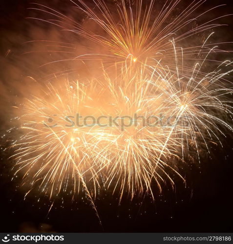 Colorful holiday fireworks on the black sky background.