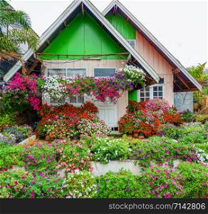 Colorful house with beautiful flower hang decorate in the garden