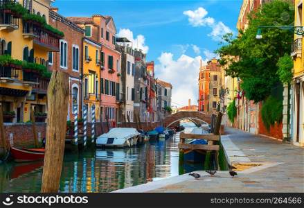 Colorful houses of Venice at summer morning