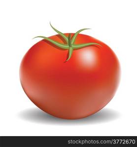colorful illustration with red tomato for your design