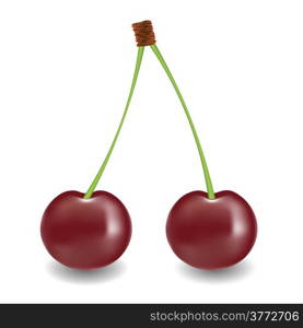 colorful illustration with two cherry for your design