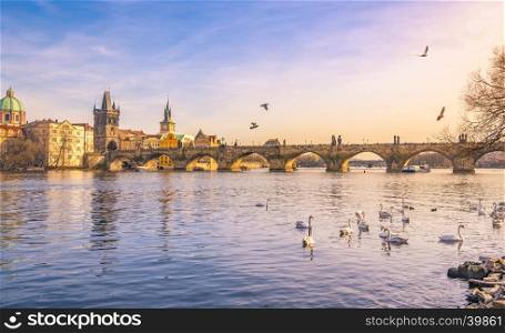 Colorful landscape of the golden city, Prague, the capital of Czech Republic, with the Charles Bridge and the Vltava river, in the afternoon.