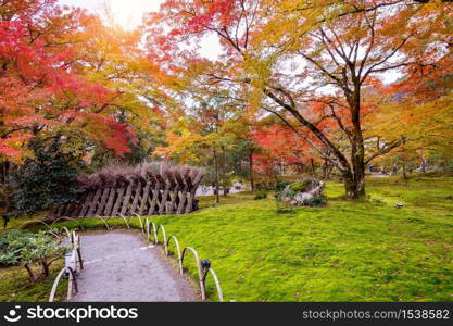 Colorful leaves in autumn. Beautiful park in Japan.