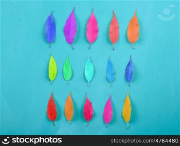 Colorful Leaves On Wood Table