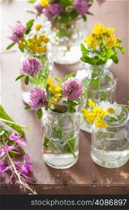 colorful medical flowers and herbs in bottles