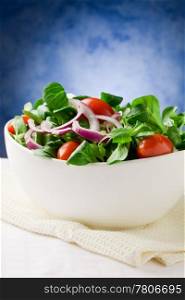 Colorful mixed salad inside a bowlo on white towel in front of blue background