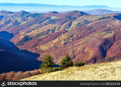 Colorful mountain slopes in autumn Carpathian. Morning misty view.