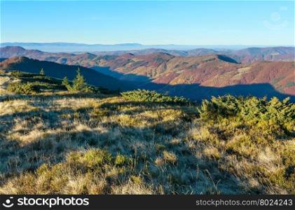 Colorful mountain slopes in autumn morning Carpathian.