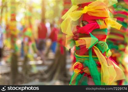 Colorful of Fabric in three colors tied to a tree background with Thai Style Three Color Fabric for Thai Religion believe and Represent God and Ghost Concept.