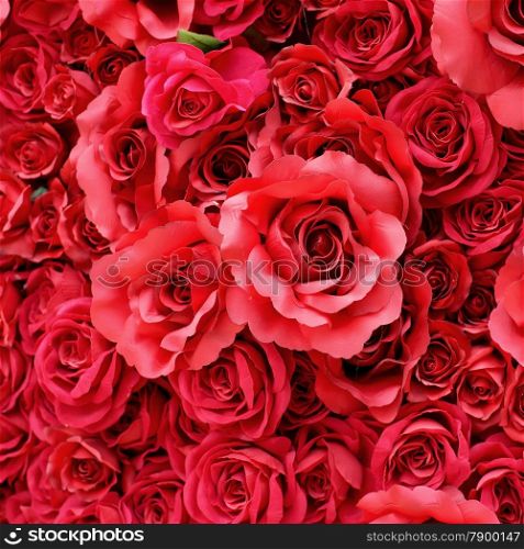 colorful of rose artificial flower as background