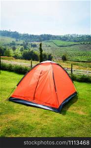 Colorful orange tent camping in row beautiful on green grass meadow for tourist travel relax outdoor holiday time