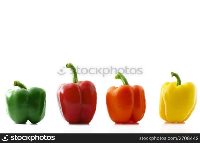colorful paprica row. a colorful paprica row on white background