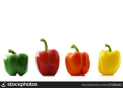 colorful paprica row. a colorful paprica row on white background