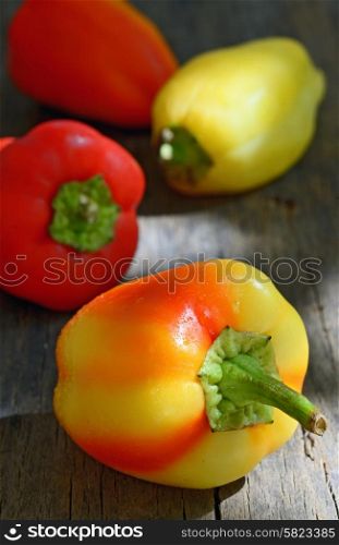 colorful peppers on the wooden background