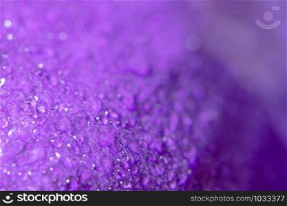 Colorful petals background, purple