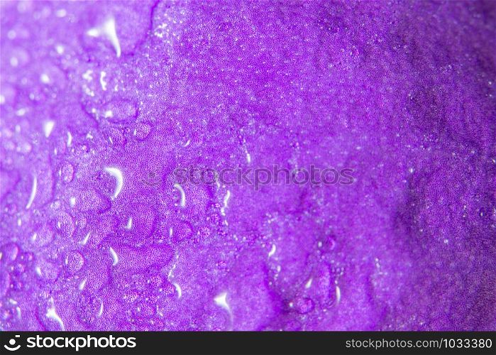 Colorful petals background, purple