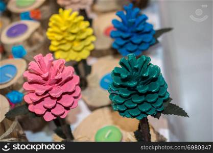 Colorful Pine cones of the pine tree in the view