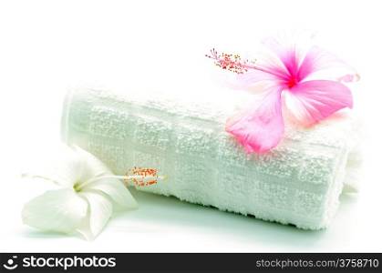 Colorful pink and white Hibiscus flower with towel in spa theme, isolated on a white background