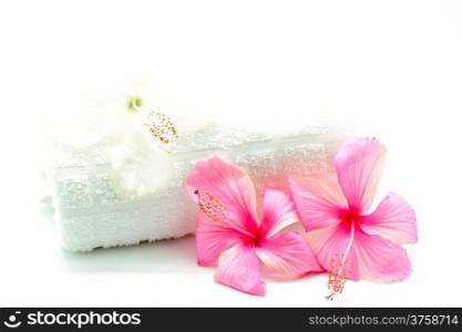 Colorful pink and white Hibiscus flower with towel in spa theme, isolated on a white background