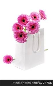 colorful pink daisy gerbera flowers in a shopping bag