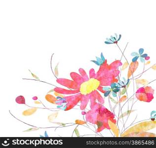 Colorful pink flowers, watercolor
