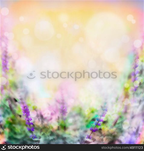 Colorful pink purple flowers blurred background with light and bokeh