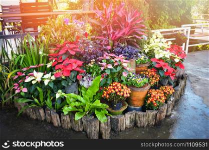 Colorful plants and flower blossom in pots spring in the summer park garden in the morning
