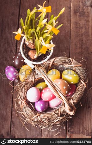 Colorful polka dot eggs in basket and daffodil flowers