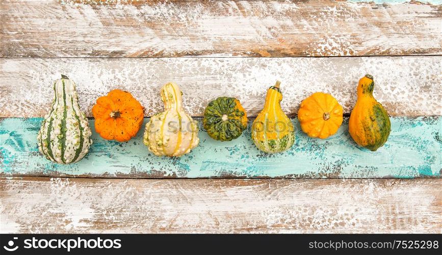 Colorful pumpkin on rustic wooden texture. Autumn background
