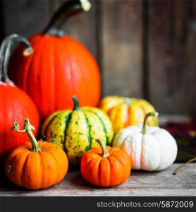 Colorful pumpkins and fall leaves on rustic wooden background