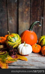 Colorful pumpkins and fall leaves on rustic wooden background