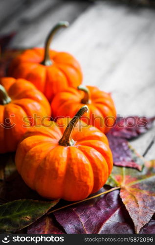 Colorful pumpkins and fall leaves on rustic wooden background