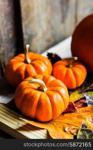 Colorful pumpkins and fall leaves on rustic wooden background