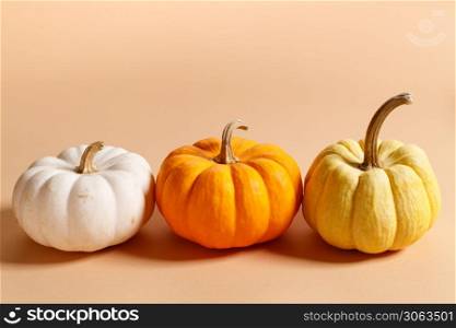 Colorful pumpkins with white, yellow and orange on color background