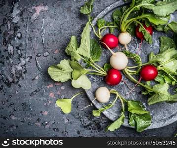 Colorful radishes with green haulm leaves in plate on dark rustic background, top view, place for text. Clean healthy organic vegan or vegetarian food concept
