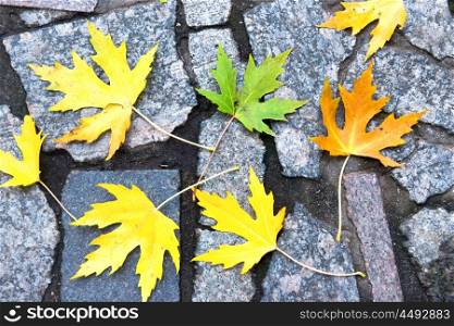 Colorful red, orange and green autumn leaves on the stone pattern. Fall background