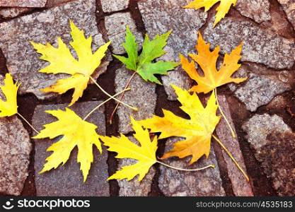 Colorful red, orange and green autumn leaves on the stone pattern. Fall background