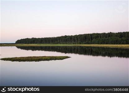Colorful reflections in the water at a green marshland