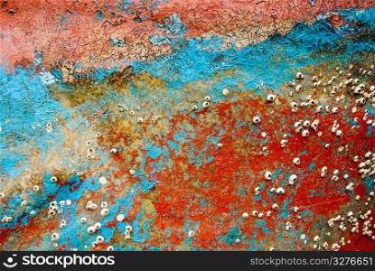 Colorful remains of boat