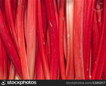 Colorful rhubarb sticks close up.