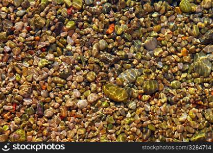 colorful rolling stones sea bottom pattern musk seaweed