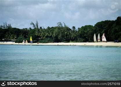 Colorful sailboats parked on a seashore with a dense vegetation and shacks, Sandy Lane Hotel, Barbados