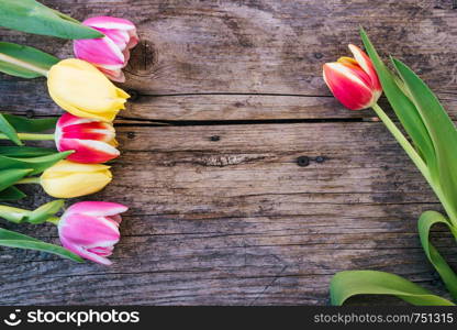 Colorful spring flowers (tulips) are lying on a rustic wooden table, view from above, text space