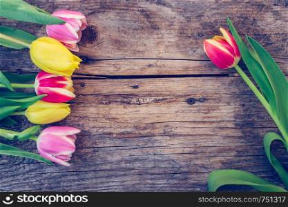 Colorful spring flowers (tulips) are lying on a rustic wooden table, view from above, text space