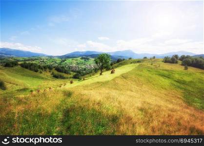 Colorful spring mountain green meadow sunny landscape. Colorful spring mountain green meadow landscape