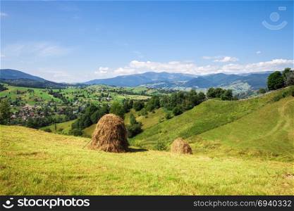 Colorful summer mountain green meadow landscape
