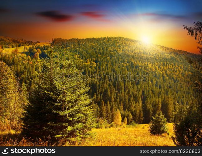 Colorful sunset at forests mountains, peaceful woods landscape of Europe countryside, beautiful nature scene, evergreen fir trees and sunny warm sky