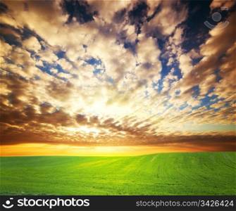 Colorful sunset over green grass field