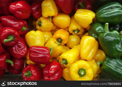 Colorful sweet bell peppers on market for sell . Colorful sweet bell peppers